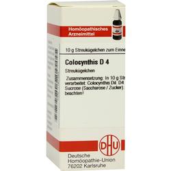 COLOCYNTHIS D 4